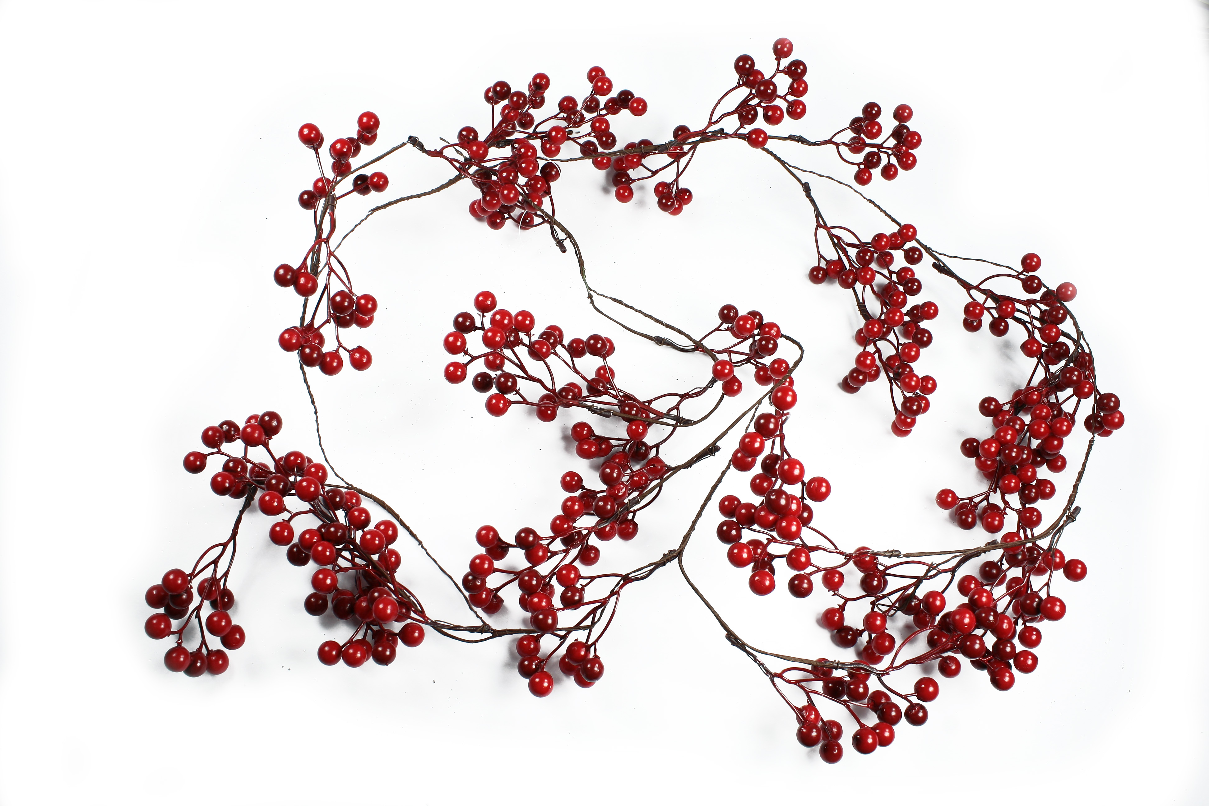 PX16610 RAMO BACCHE ROSSE