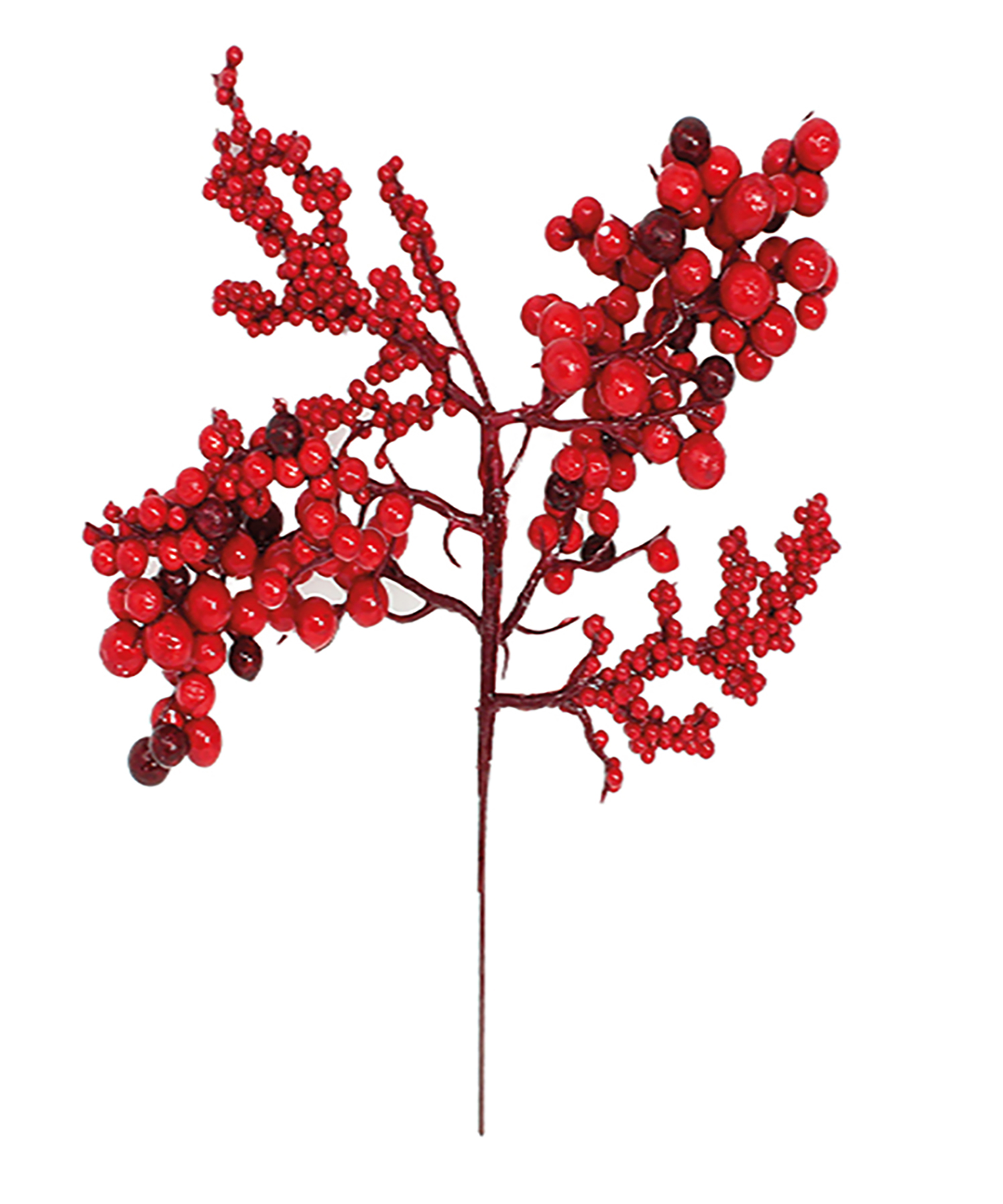 bacche rosse