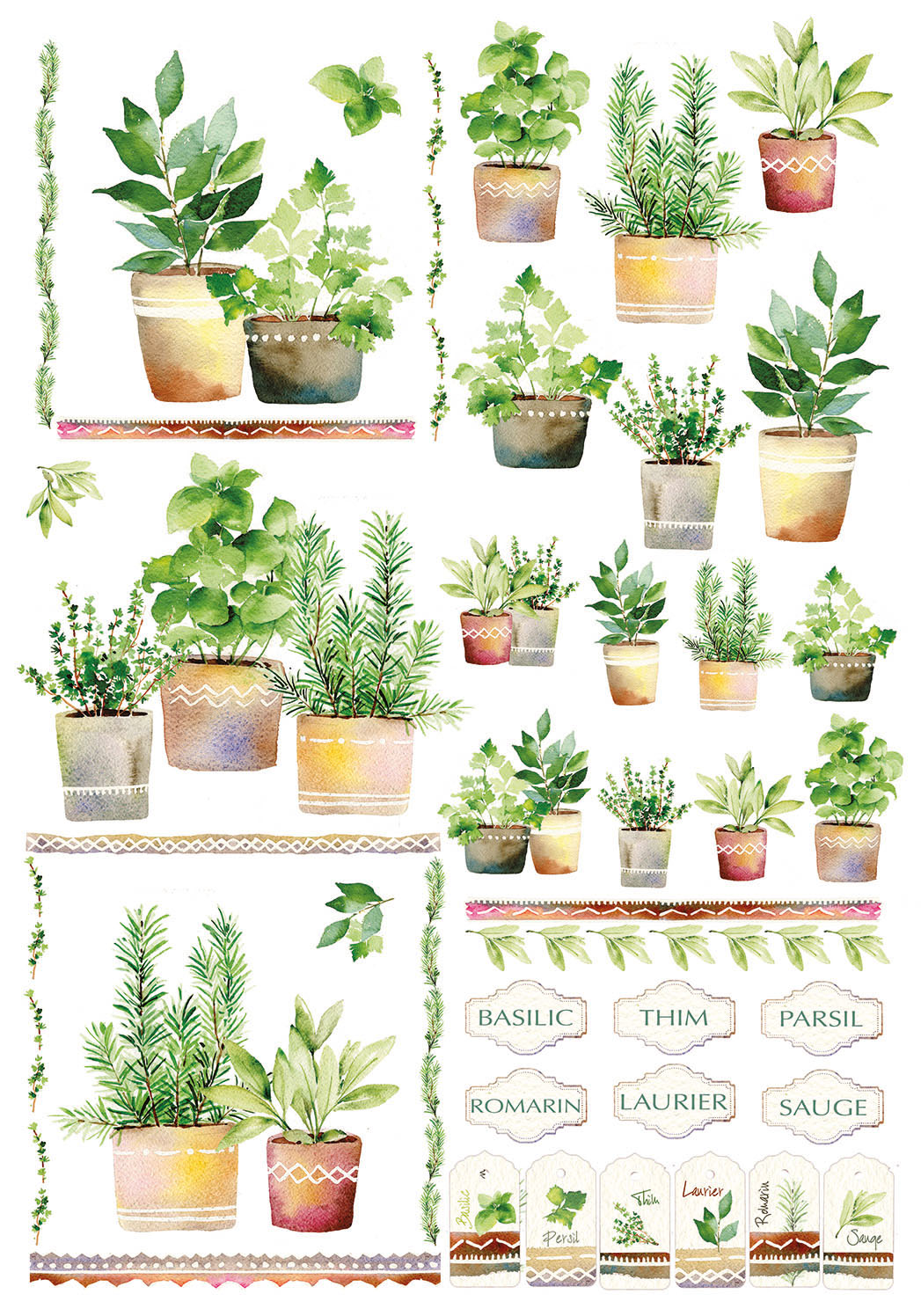 QSIPR 303 AROMATIQUE